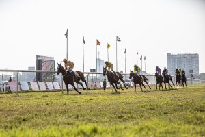 Is Trending Legal Indian Horse Racing Betting Legal in India? Complete 2026 Guide